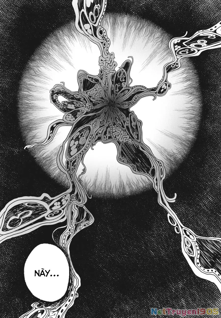Mùa Hè Hikaru Chết Chapter 15 - Trang 17