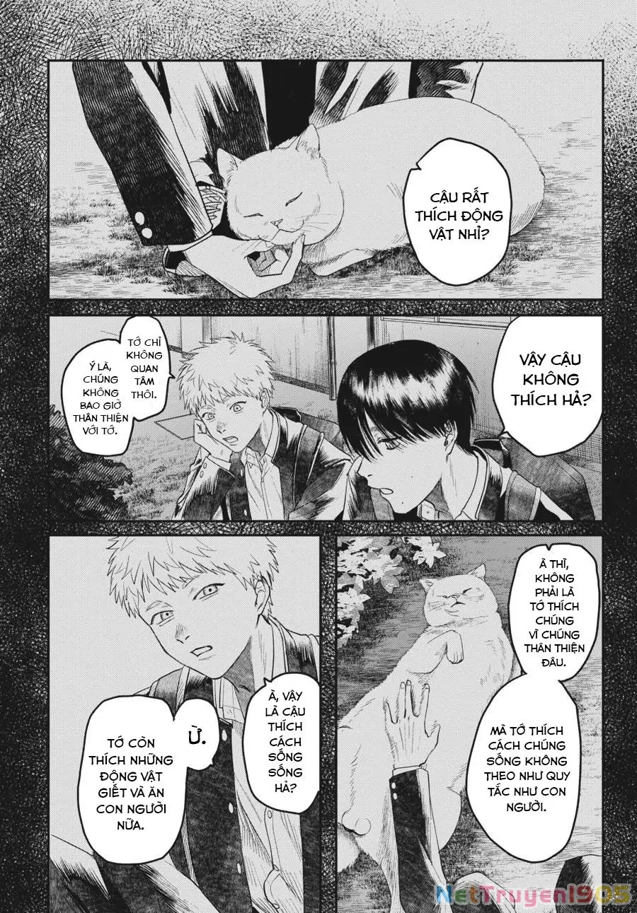 Mùa Hè Hikaru Chết Chapter 19 - Trang 14