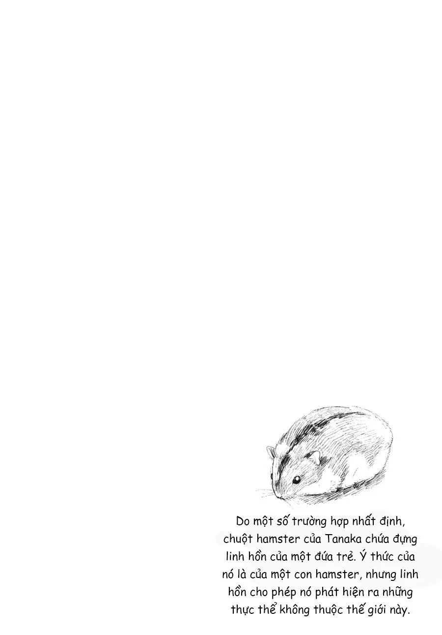 Mùa Hè Hikaru Chết Chapter 19 - Trang 40