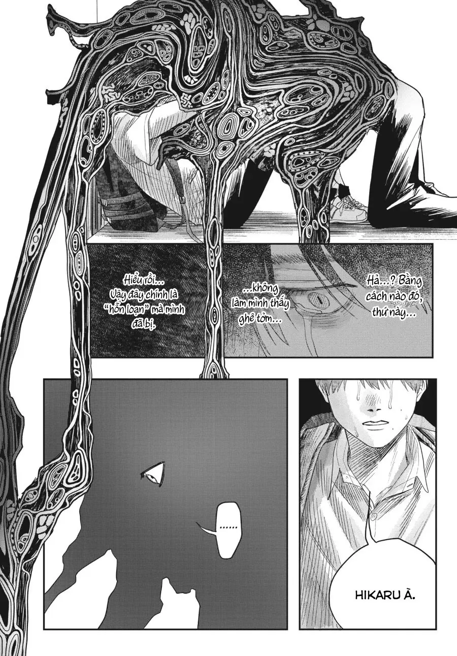 Mùa Hè Hikaru Chết Chapter 24 - Trang 8
