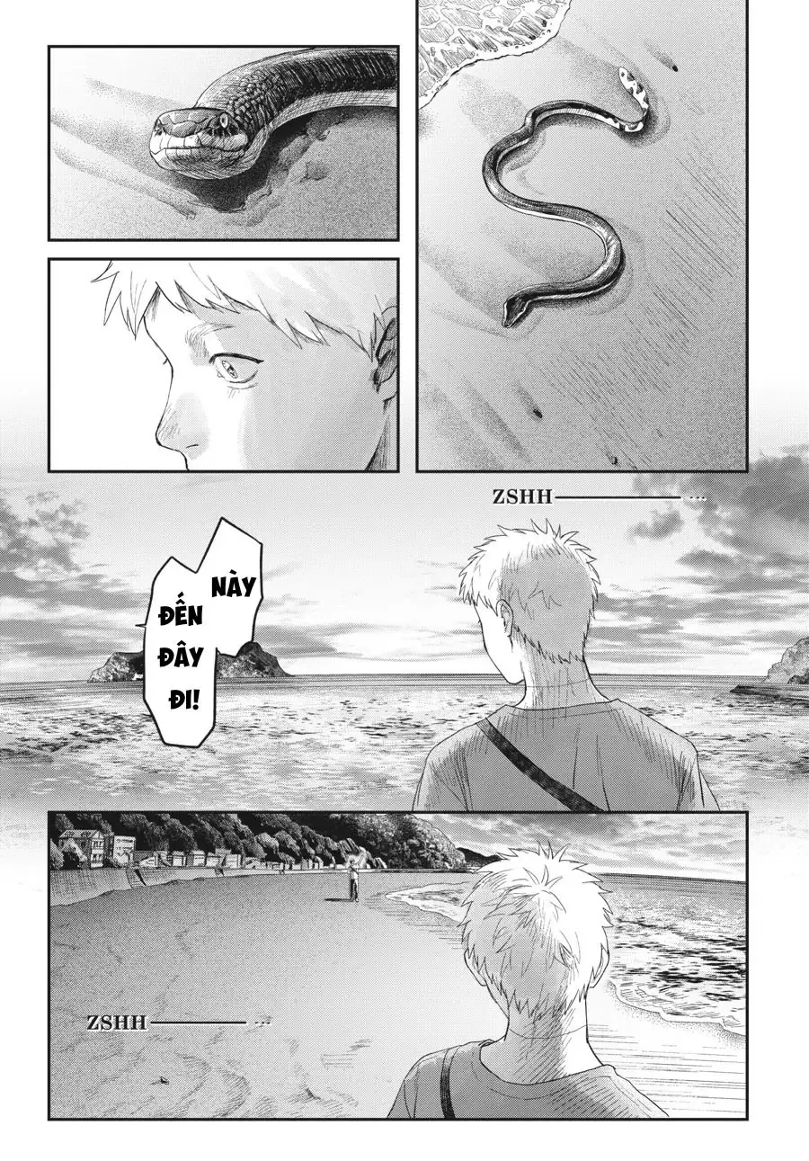 Mùa Hè Hikaru Chết Chapter 26 - Trang 19