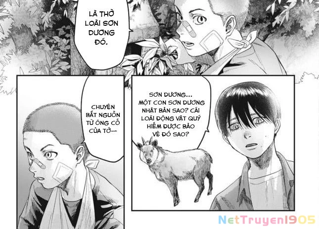 Mùa Hè Hikaru Chết Chapter 29 - Trang 31