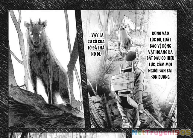 Mùa Hè Hikaru Chết Chapter 29 - Trang 34