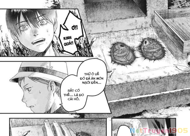 Mùa Hè Hikaru Chết Chapter 29 - Trang 42