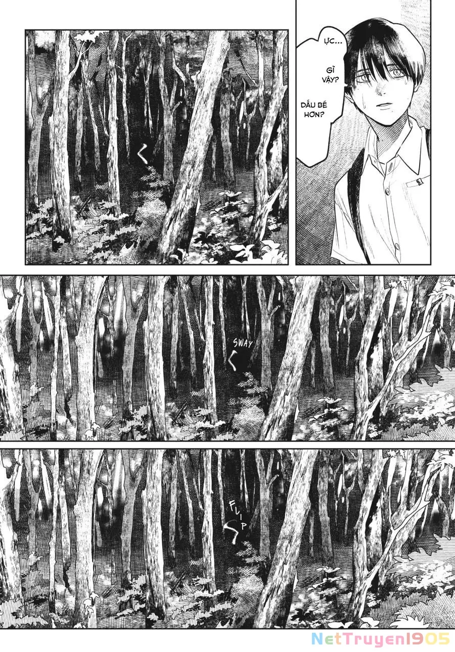 Mùa Hè Hikaru Chết Chapter 3 - Trang 19