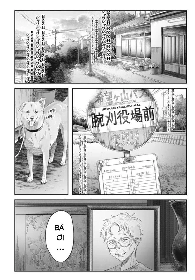 Mùa Hè Hikaru Chết Chapter 30 - Trang 17