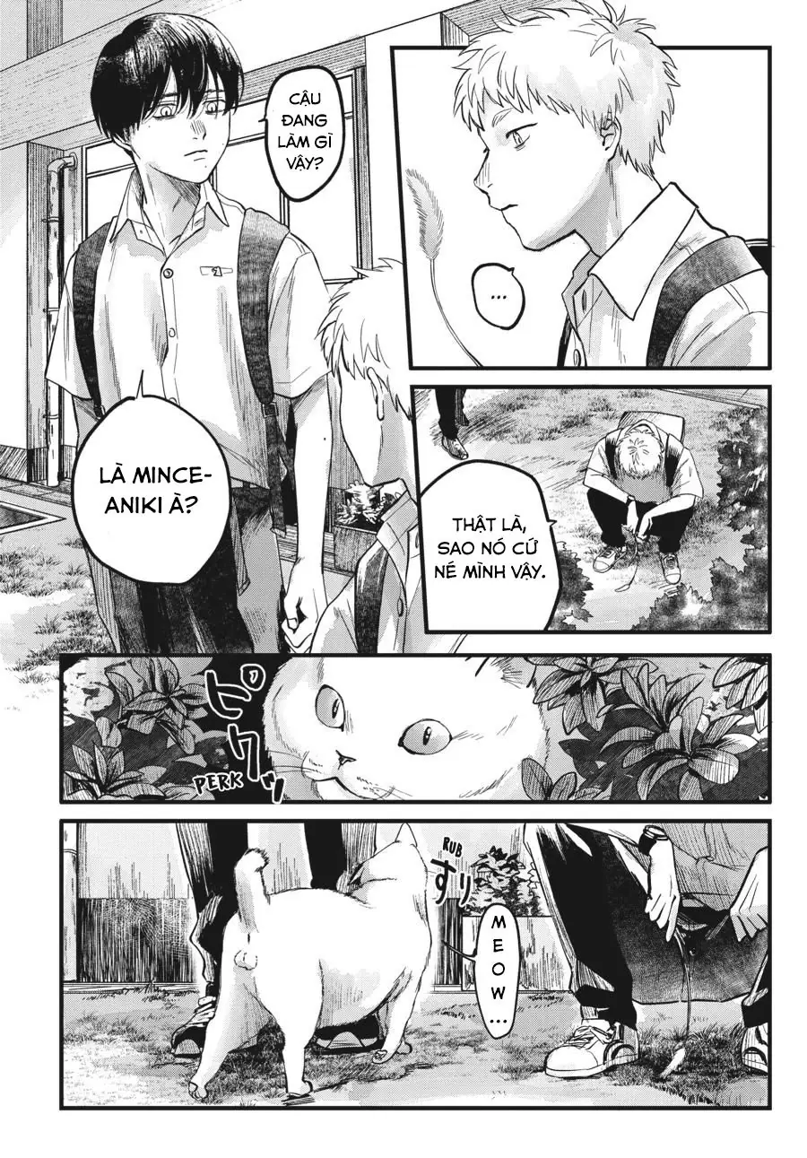 Mùa Hè Hikaru Chết Chapter 8 - Trang 3
