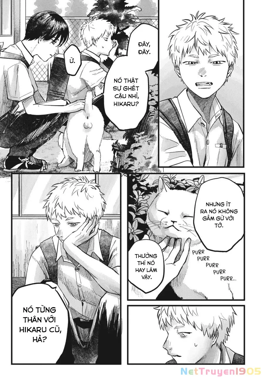 Mùa Hè Hikaru Chết Chapter 8 - Trang 4
