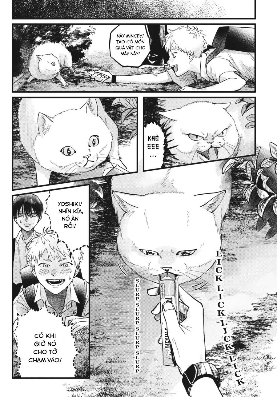Mùa Hè Hikaru Chết Chapter 8 - Trang 6