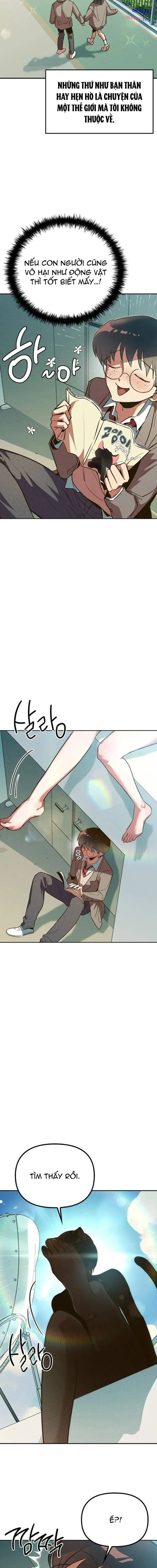 Mười Hai Cô Gái Cung Hoàng Đạo Chapter 1 - Trang 3