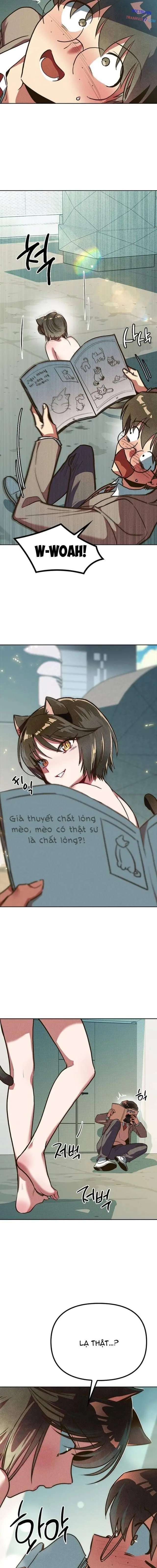 Mười Hai Cô Gái Cung Hoàng Đạo Chapter 1 - Trang 4
