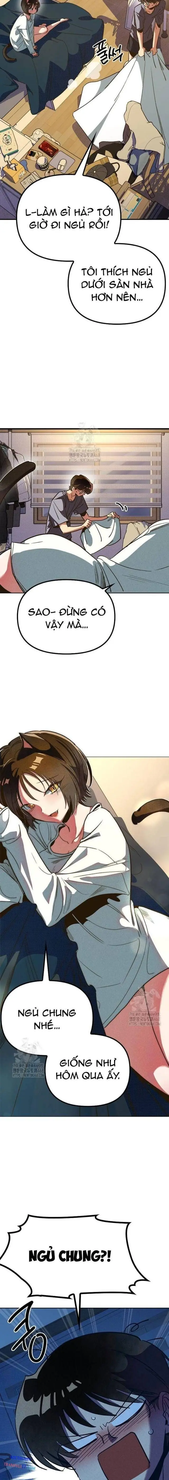Mười Hai Cô Gái Cung Hoàng Đạo Chapter 5 - Trang 8