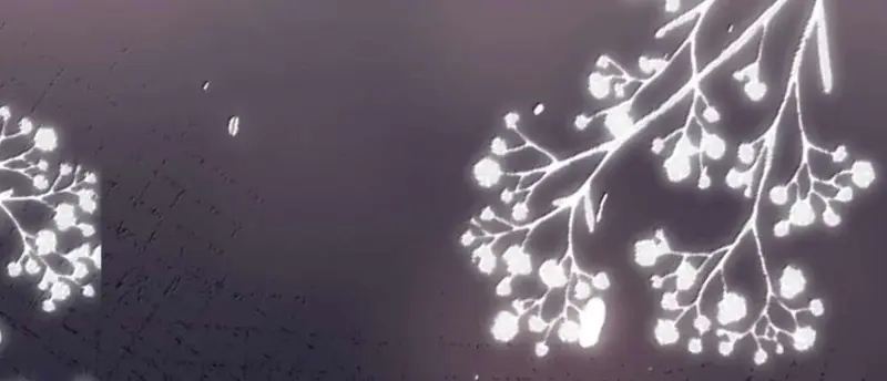 Muội Muội Ốm Yếu Cứ Mơ Tưởng Tôi - Pheromone Chapter 42 - Trang 30