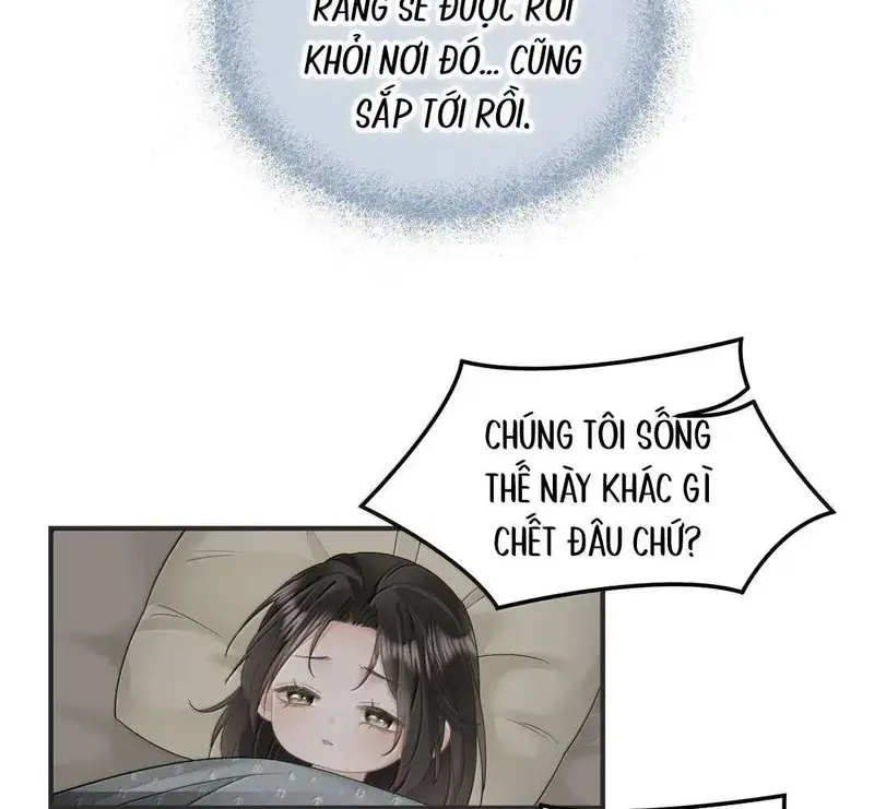 Muội Muội Ốm Yếu Cứ Mơ Tưởng Tôi - Pheromone Chapter 46 - Trang 33