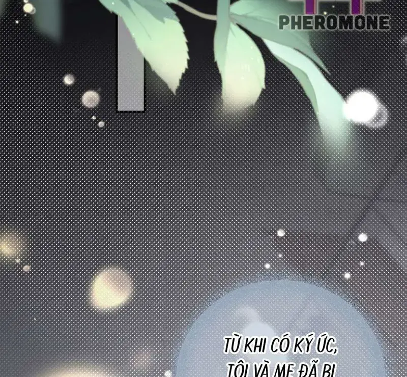 Muội Muội Ốm Yếu Cứ Mơ Tưởng Tôi - Pheromone Chapter 46 - Trang 8