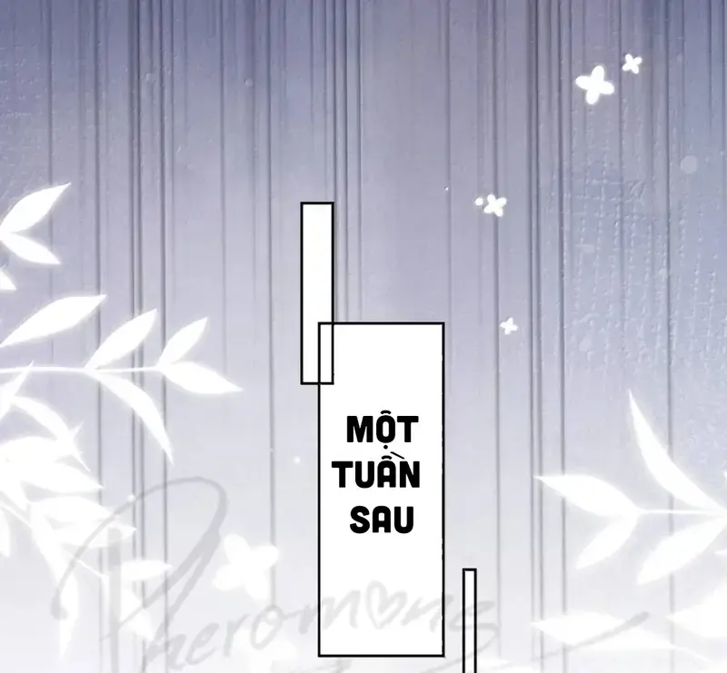 Muội Muội Ốm Yếu Cứ Mơ Tưởng Tôi - Pheromone Chapter 71 - Trang 27