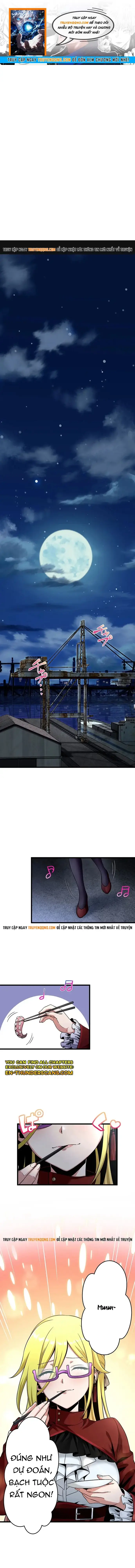 Musou No Jukunen Hitman Wa, Musume Tachi To Shizuka Ni Kurashitai Chapter 17 - Trang 2