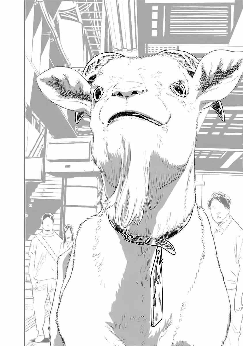 My Capricorn Friend Chapter 5 - Trang 11