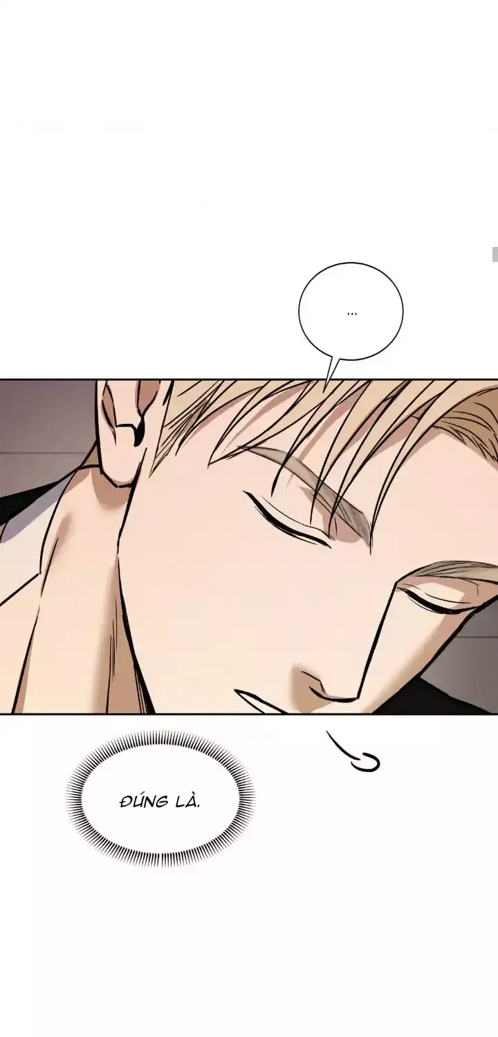 Nam Phụ Đã Ám Ảnh Đến Phát Điên Chapter 11 - Trang 15