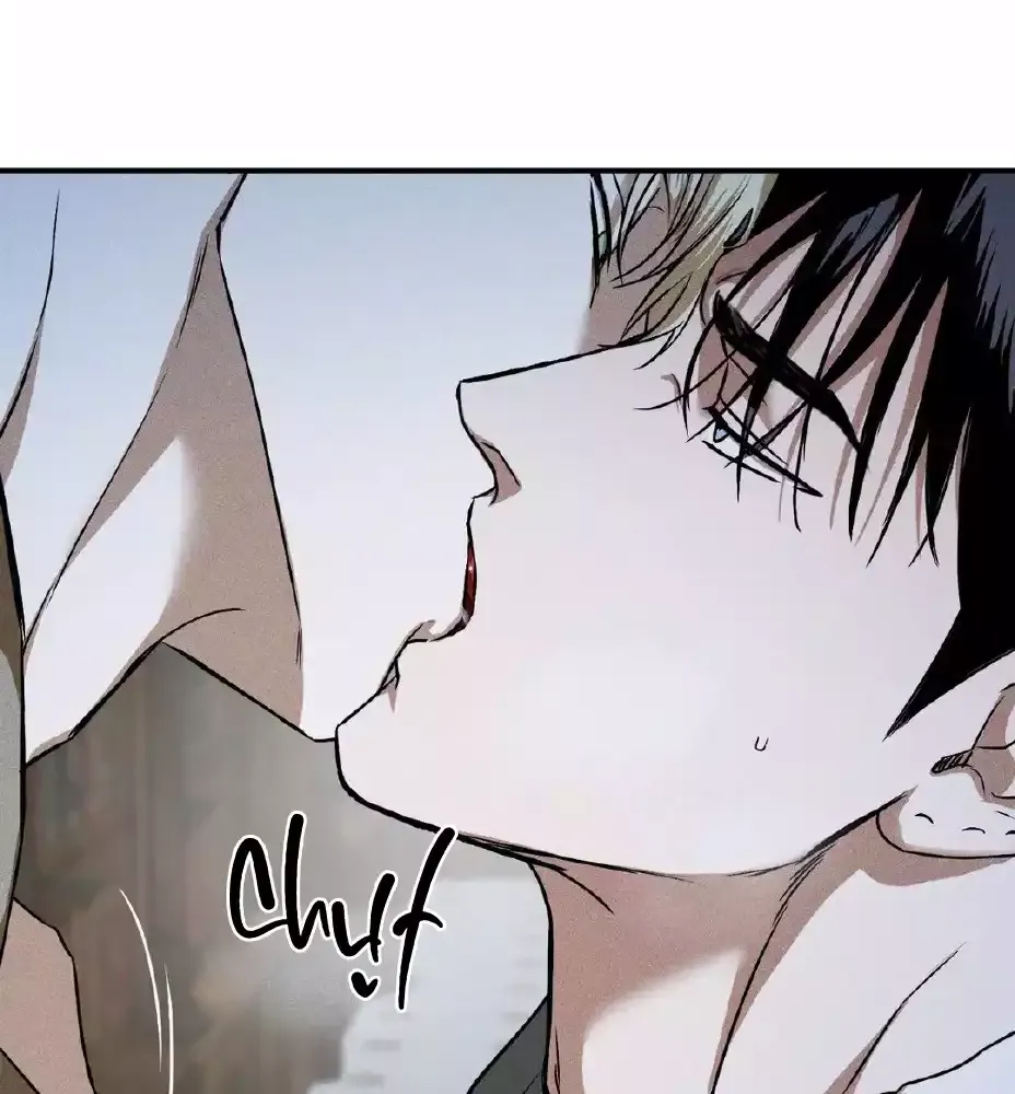Nam Phụ Đã Ám Ảnh Đến Phát Điên Chapter 16 - Trang 5