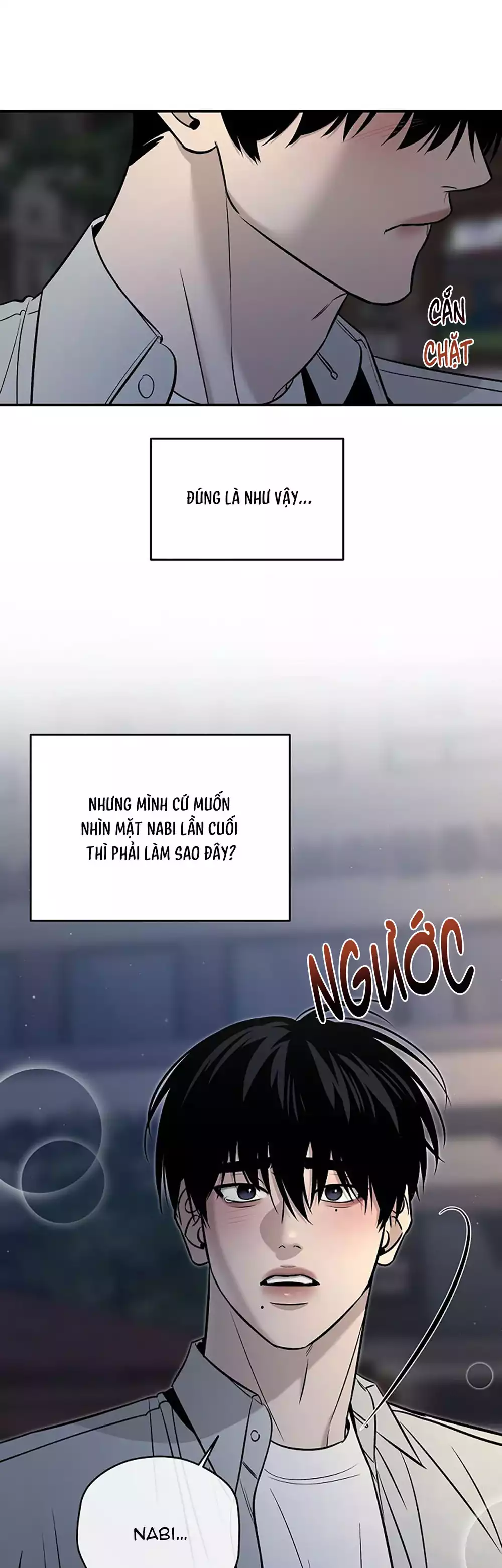 Nam Phụ Đã Ám Ảnh Đến Phát Điên Chapter 26 - Trang 29