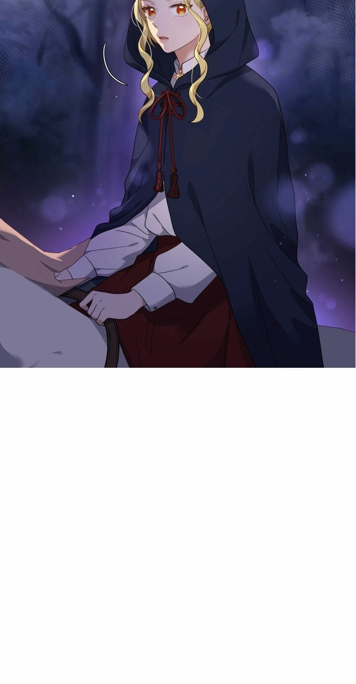 Nàng Công Chúa Hai Mặt Chapter 13 - Trang 22