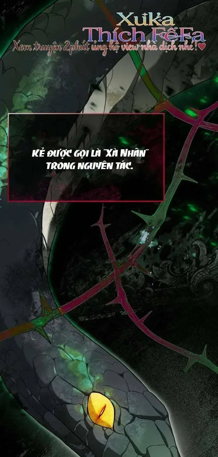 Nàng Dâu Mới Của Đại Công Tước Có Chút Dữ Dằn Chapter 5 - Trang 7