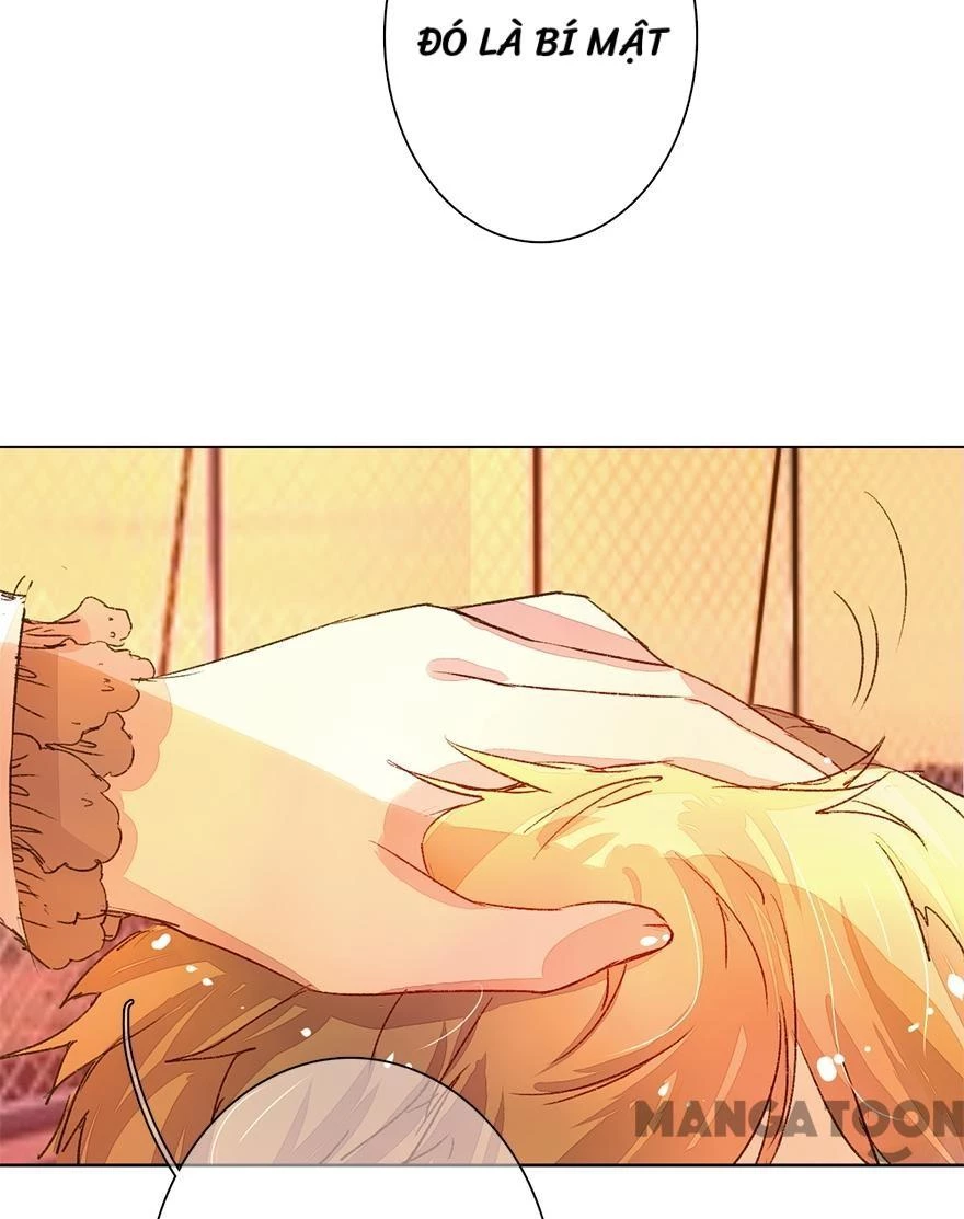 Nắng Mai Không Đẹp Bằng Em Chapter 43 - Trang 17