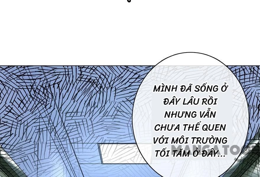 Nắng Mai Không Đẹp Bằng Em Chapter 82 - Trang 5