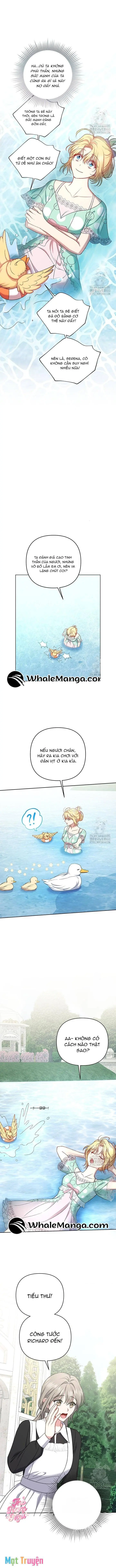 Nàng Vịt Chờ Ngày Hủy Hôn Chapter 11 - Trang 9