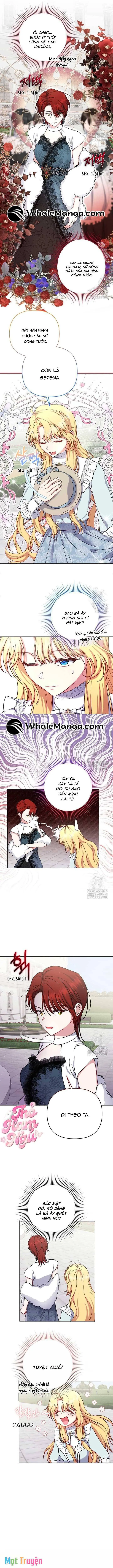 Nàng Vịt Chờ Ngày Hủy Hôn Chapter 12 - Trang 4