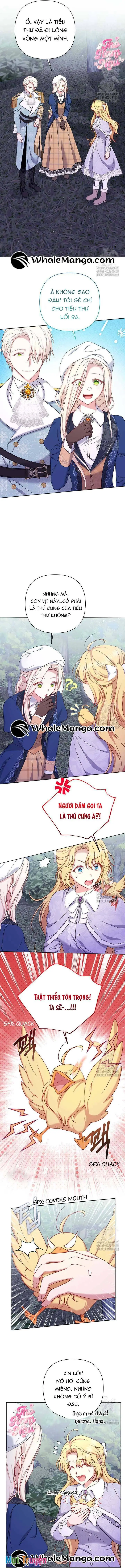 Nàng Vịt Chờ Ngày Hủy Hôn Chapter 14 - Trang 8