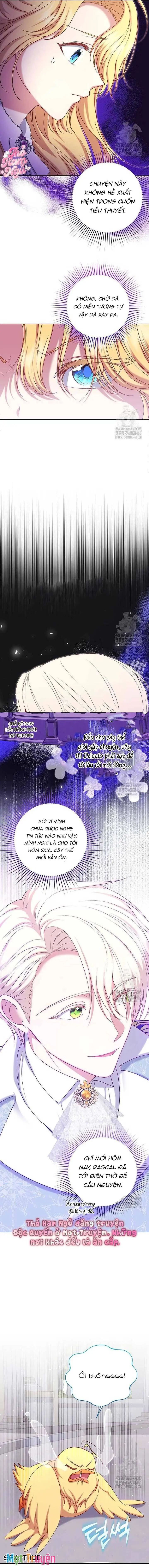 Nàng Vịt Chờ Ngày Hủy Hôn Chapter 15 - Trang 2