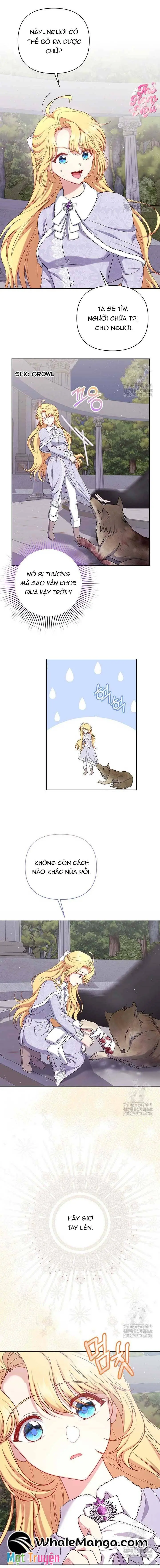 Nàng Vịt Chờ Ngày Hủy Hôn Chapter 15 - Trang 5