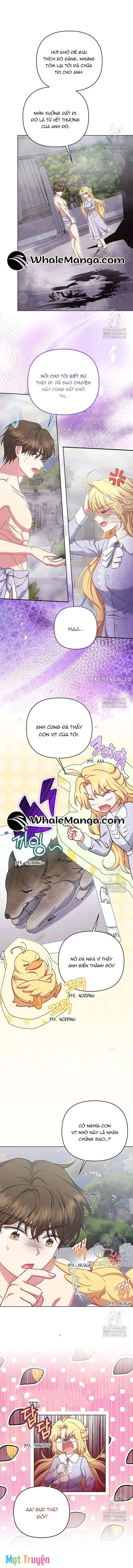 Nàng Vịt Chờ Ngày Hủy Hôn Chapter 16 - Trang 3