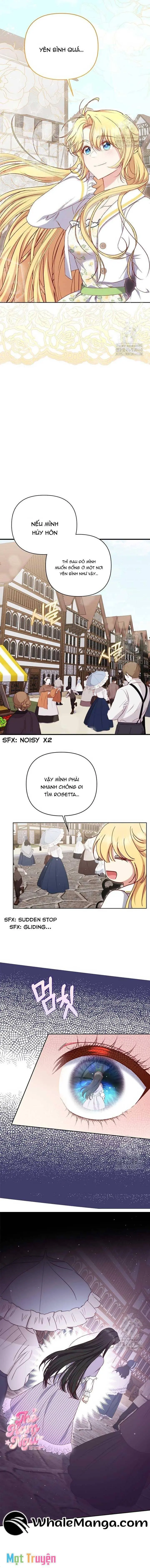Nàng Vịt Chờ Ngày Hủy Hôn Chapter 19 - Trang 13