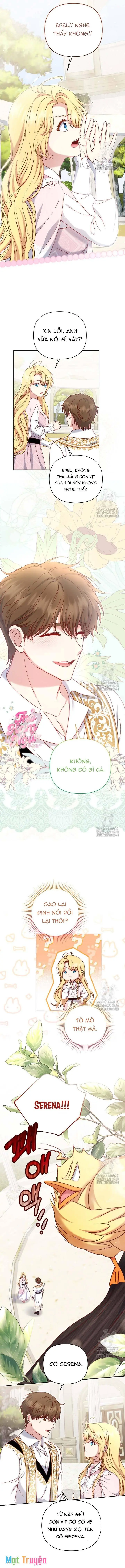 Nàng Vịt Chờ Ngày Hủy Hôn Chapter 22 - Trang 13