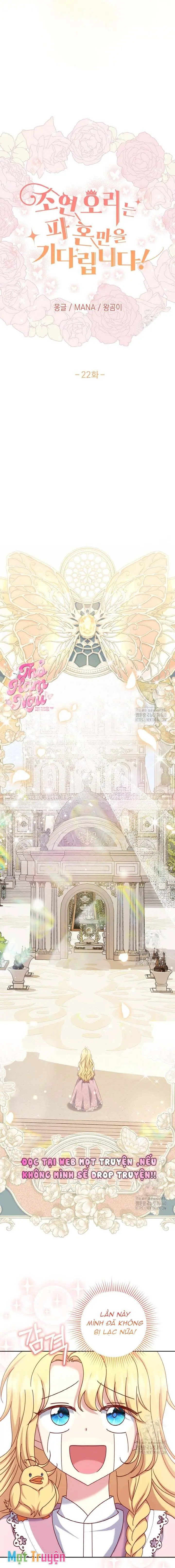 Nàng Vịt Chờ Ngày Hủy Hôn Chapter 22 - Trang 3