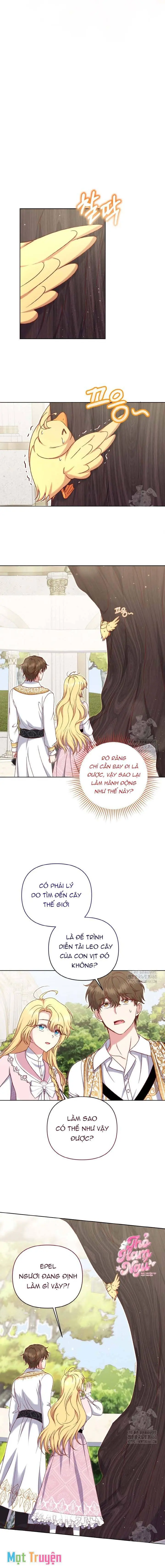 Nàng Vịt Chờ Ngày Hủy Hôn Chapter 22 - Trang 7