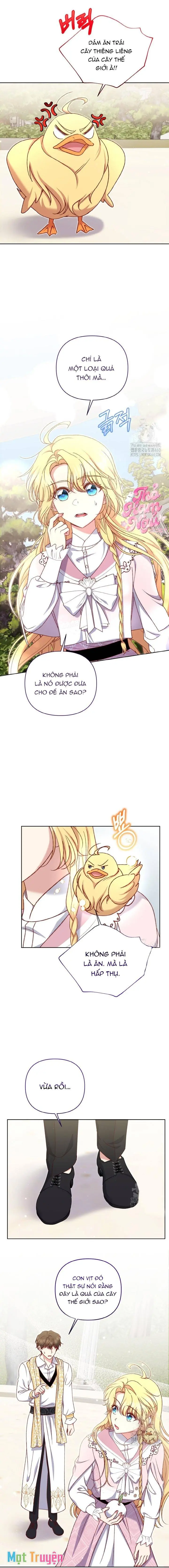 Nàng Vịt Chờ Ngày Hủy Hôn Chapter 23 - Trang 10