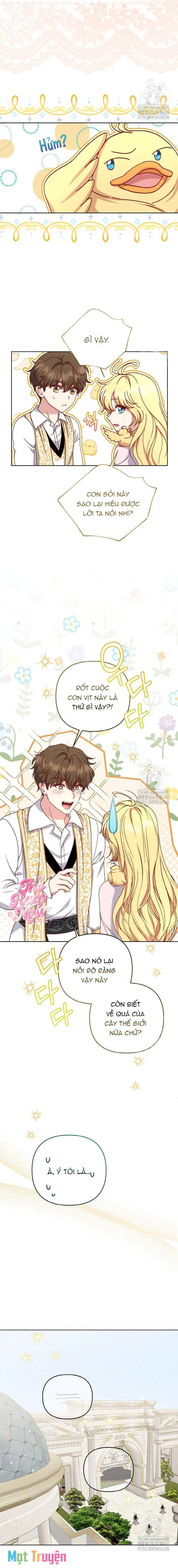 Nàng Vịt Chờ Ngày Hủy Hôn Chapter 23 - Trang 11