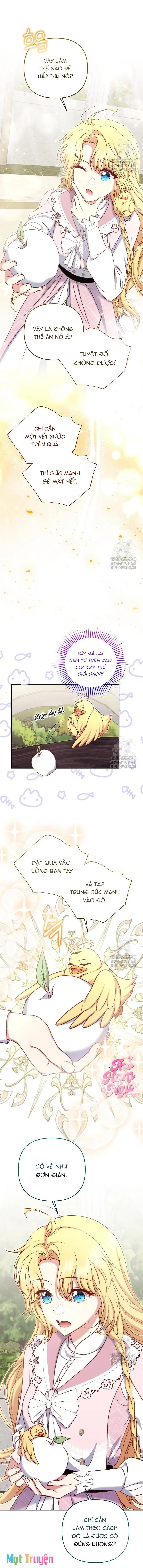 Nàng Vịt Chờ Ngày Hủy Hôn Chapter 23 - Trang 14