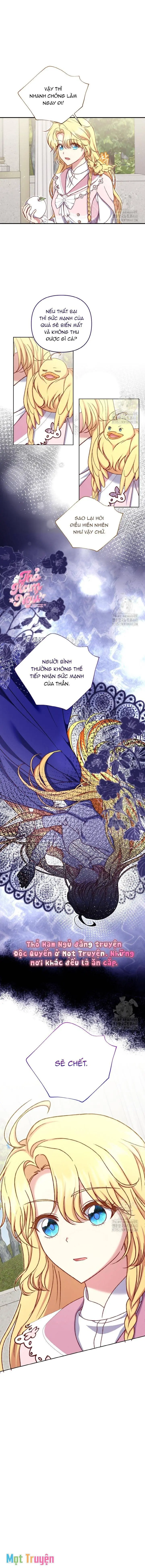 Nàng Vịt Chờ Ngày Hủy Hôn Chapter 23 - Trang 15