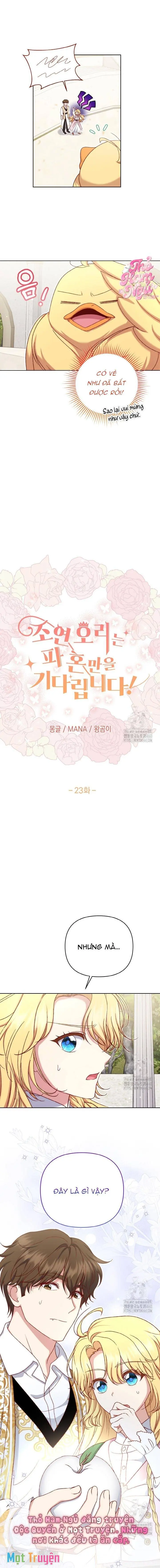 Nàng Vịt Chờ Ngày Hủy Hôn Chapter 23 - Trang 6