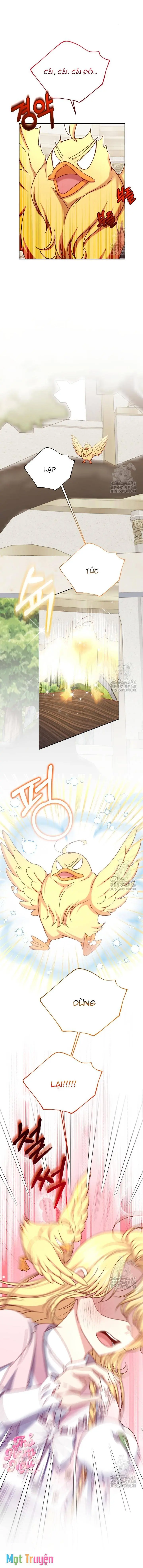 Nàng Vịt Chờ Ngày Hủy Hôn Chapter 23 - Trang 8