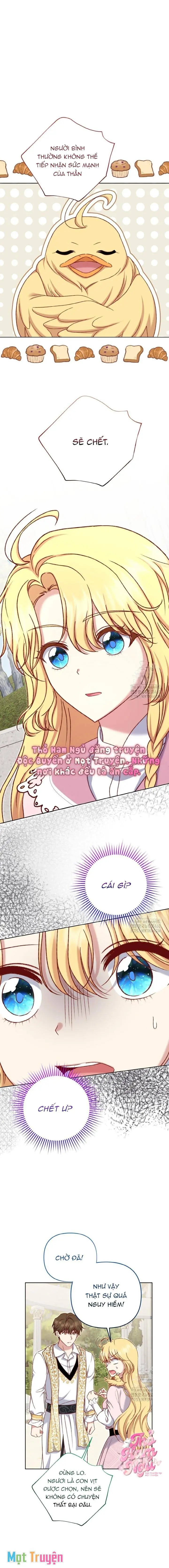 Nàng Vịt Chờ Ngày Hủy Hôn Chapter 24 - Trang 1