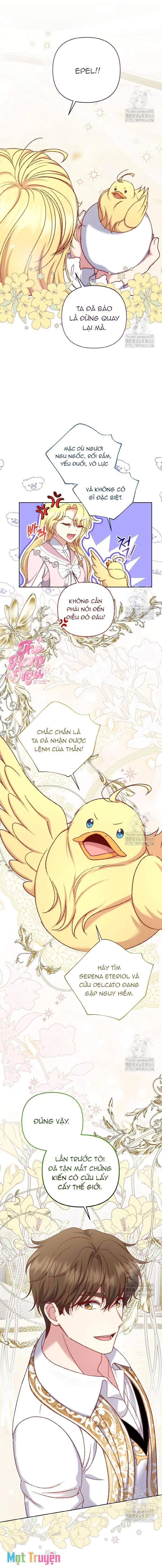 Nàng Vịt Chờ Ngày Hủy Hôn Chapter 24 - Trang 7