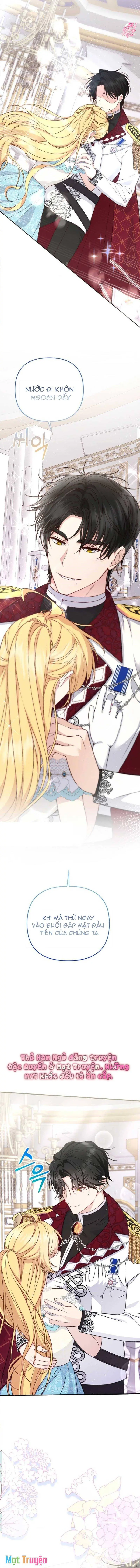 Nàng Vịt Chờ Ngày Hủy Hôn Chapter 3 - Trang 1
