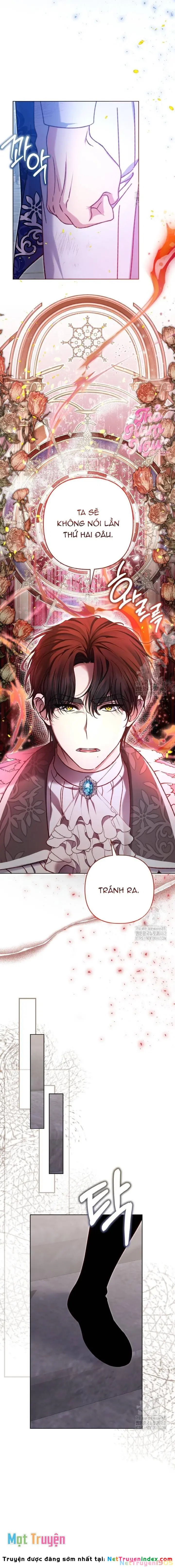 Nàng Vịt Chờ Ngày Hủy Hôn Chapter 33 - Trang 11