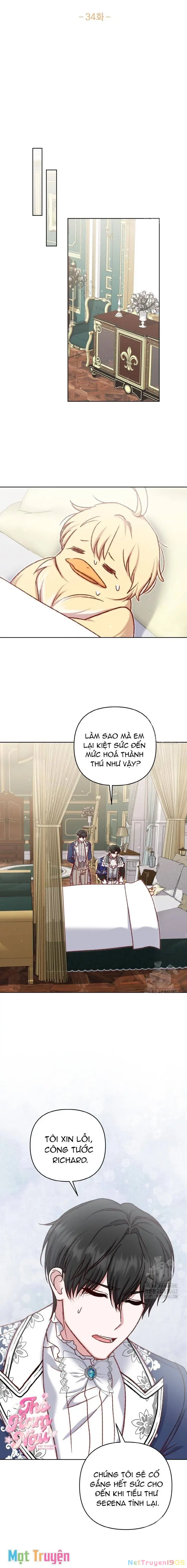 Nàng Vịt Chờ Ngày Hủy Hôn Chapter 34 - Trang 5